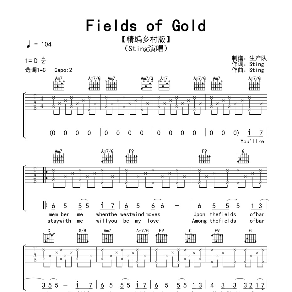 Fields of Gold吉他谱