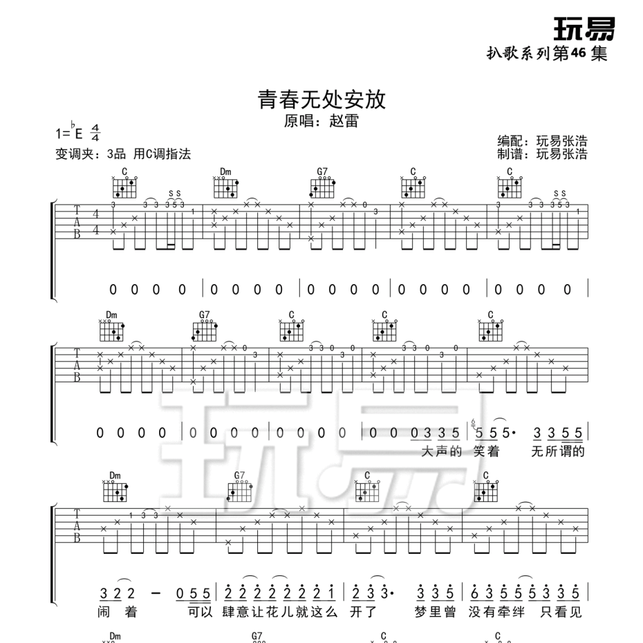 青春无处安放吉他谱