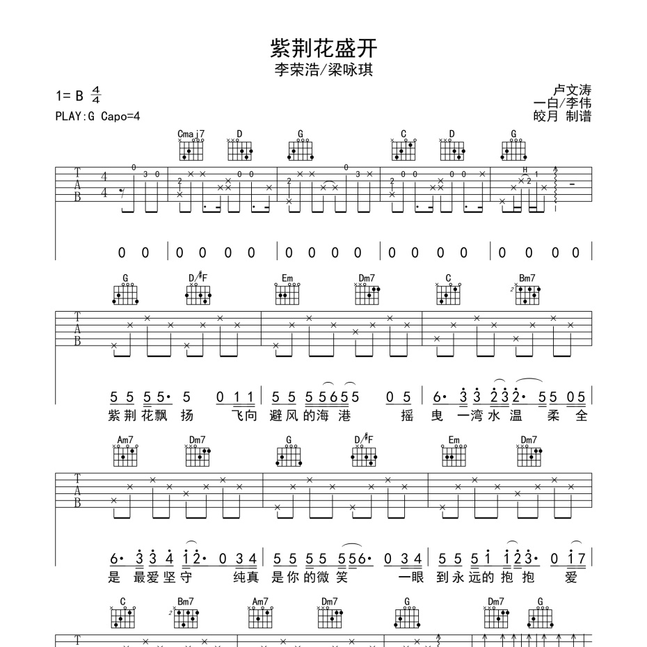 荆棘花盛开吉他谱