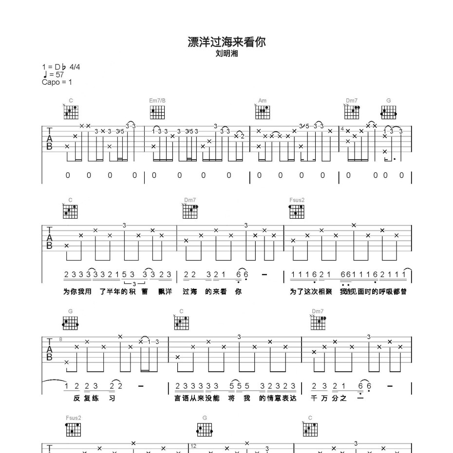 漂洋过海来看你吉他谱