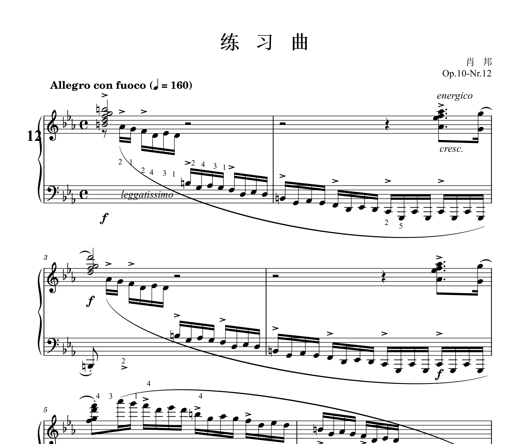 肖邦练习曲 革命练习曲 Op.10 No.12钢琴谱