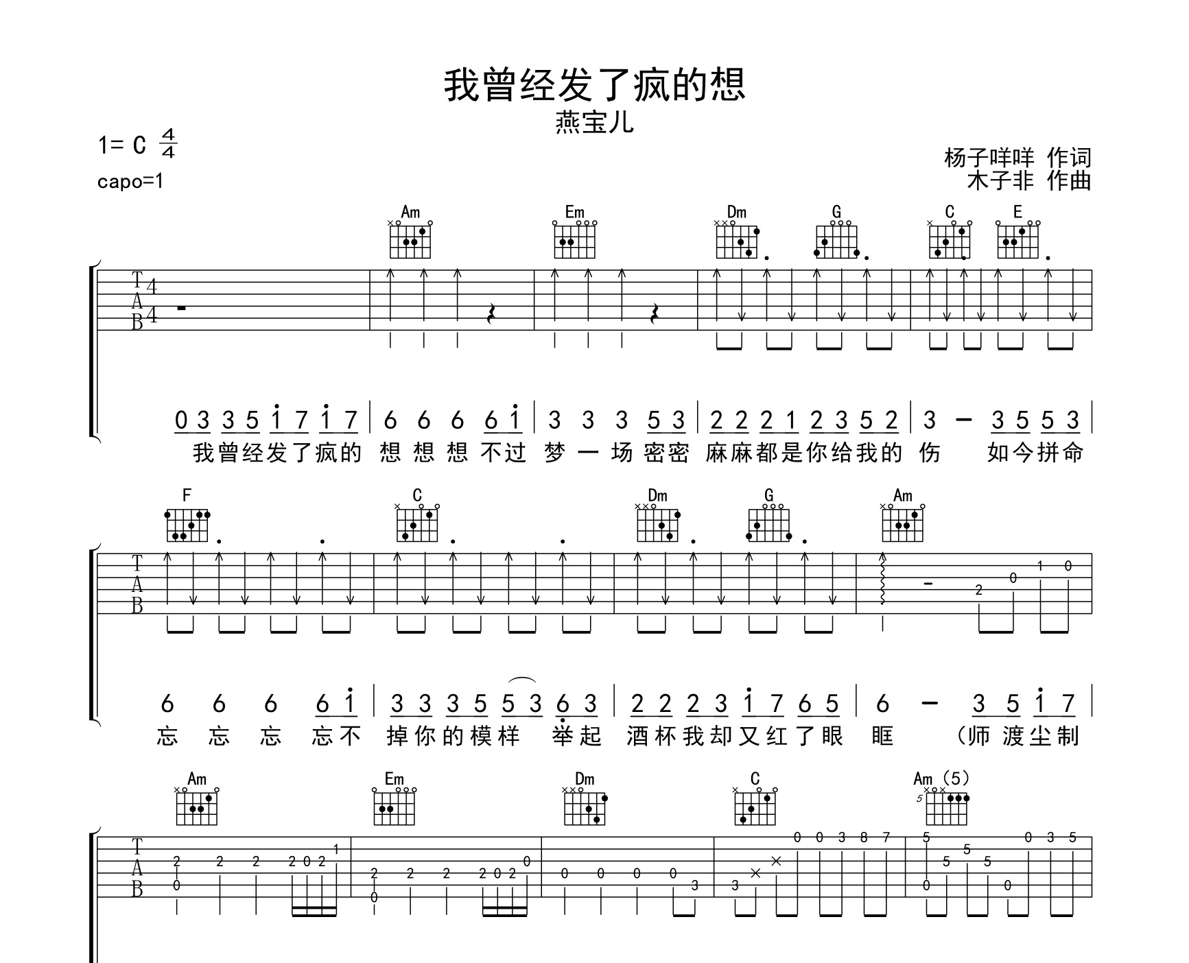 我曾经发了疯的想吉他谱