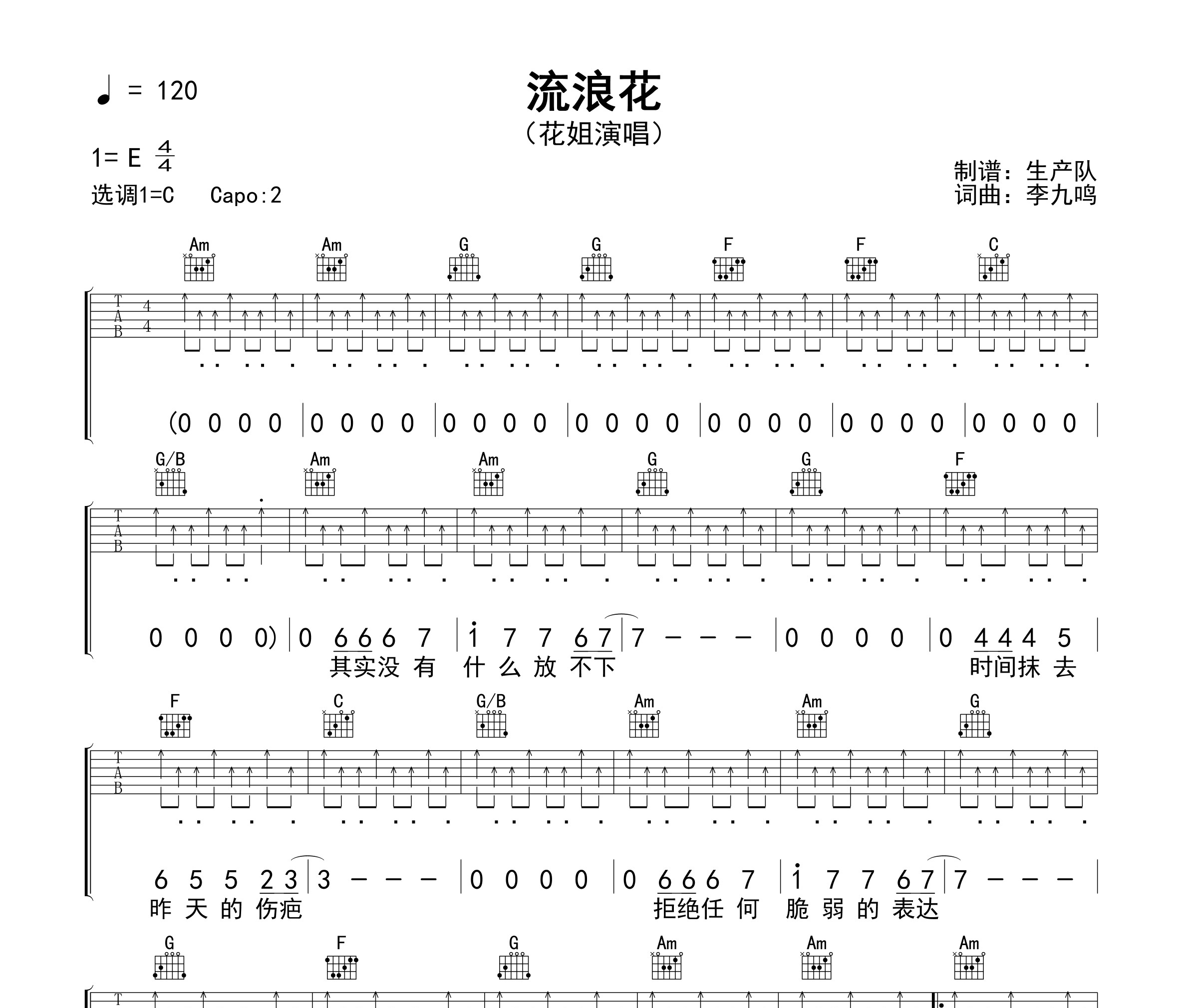 流浪花吉他谱