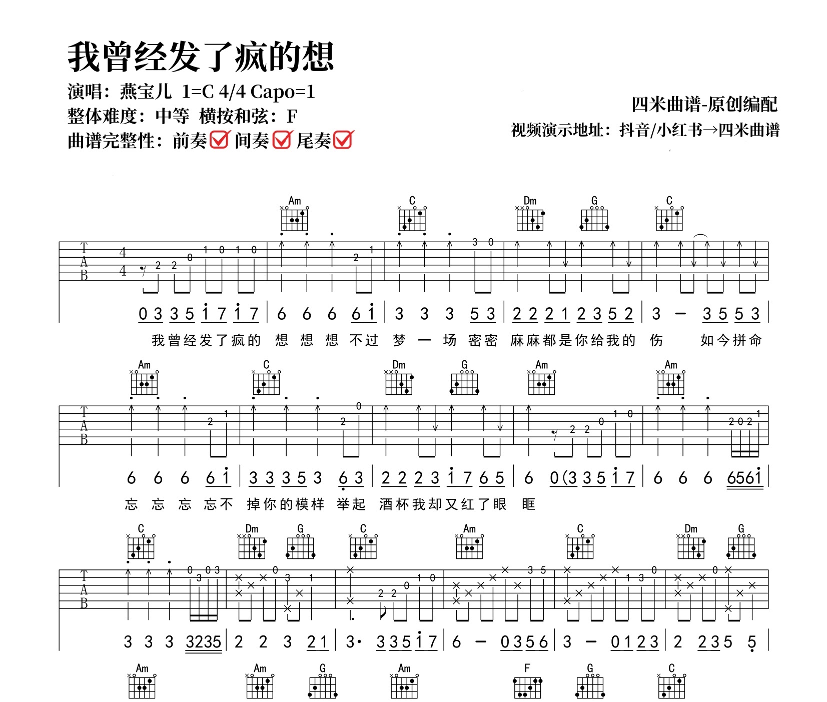 我曾经发了疯的想吉他谱