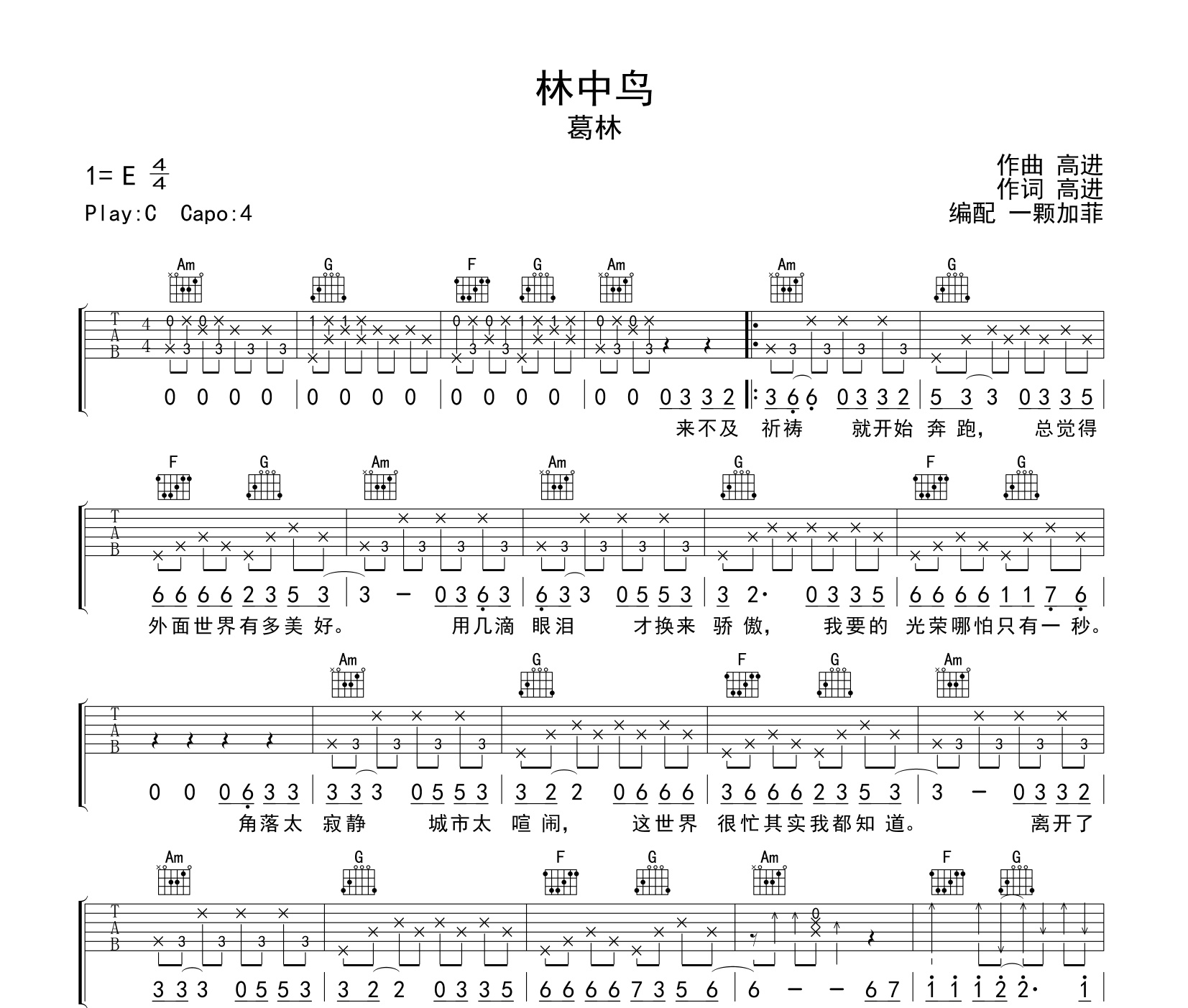 林中鸟吉他谱