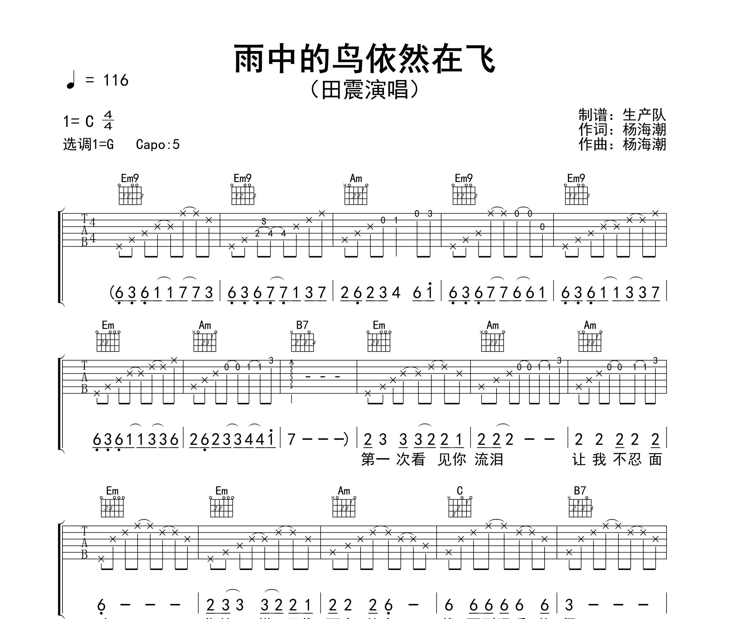 雨中的鸟依然在飞吉他谱