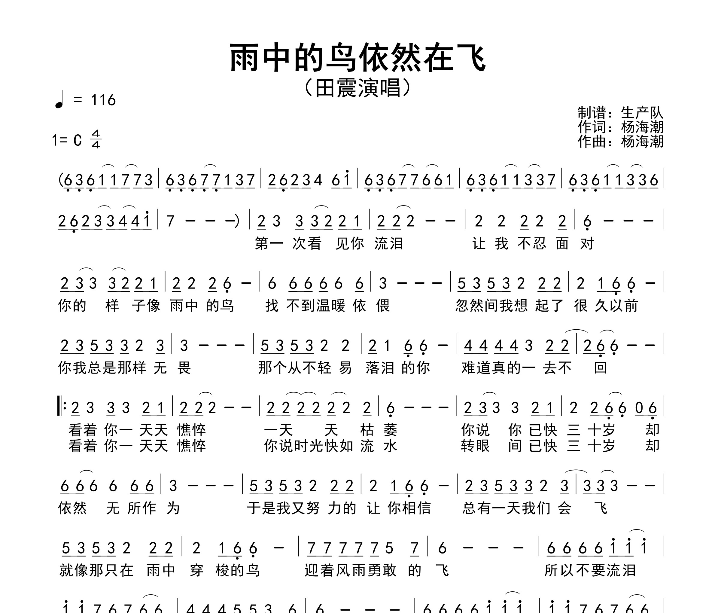 雨中的鸟依然在飞简谱