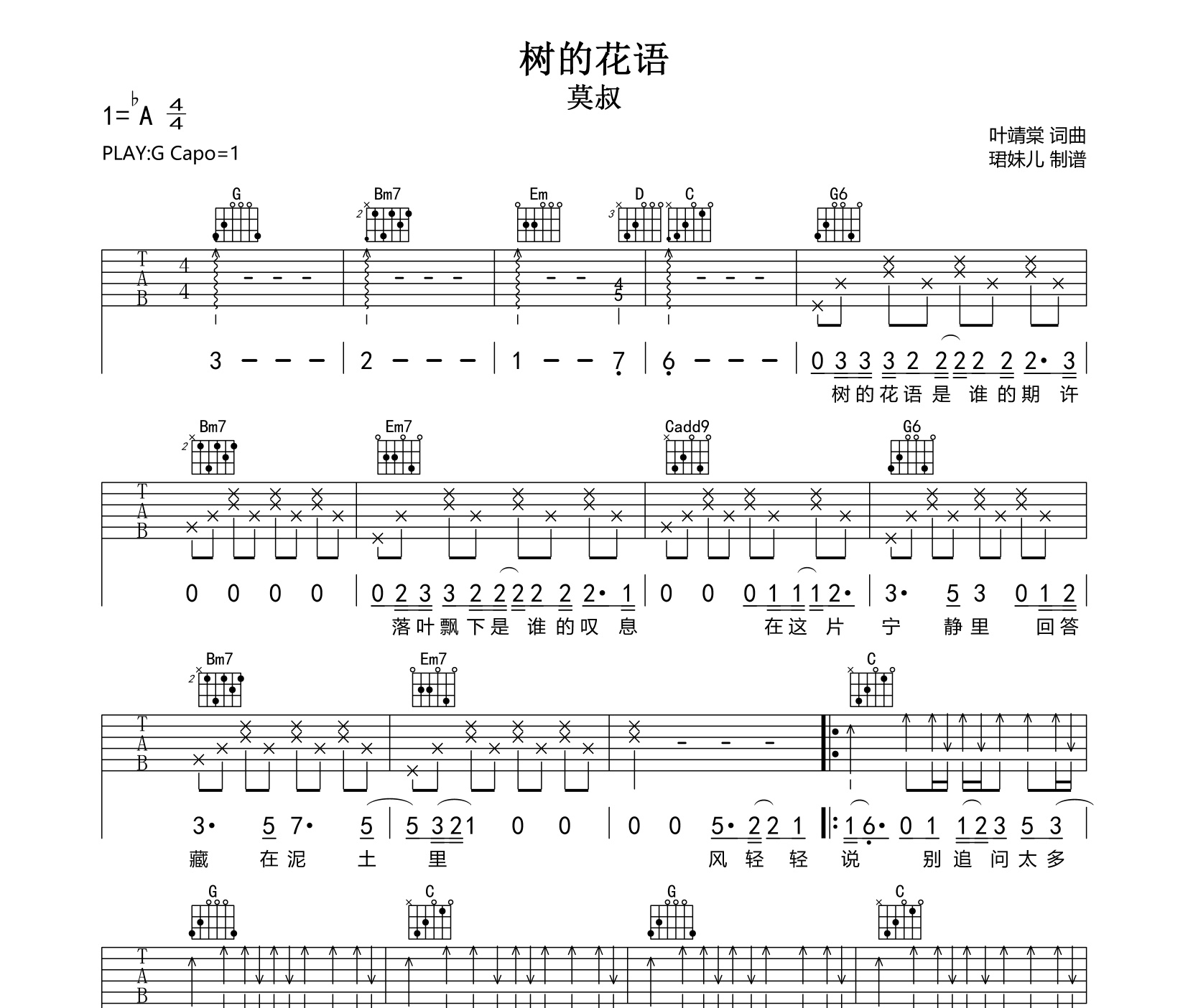 树的花语吉他谱