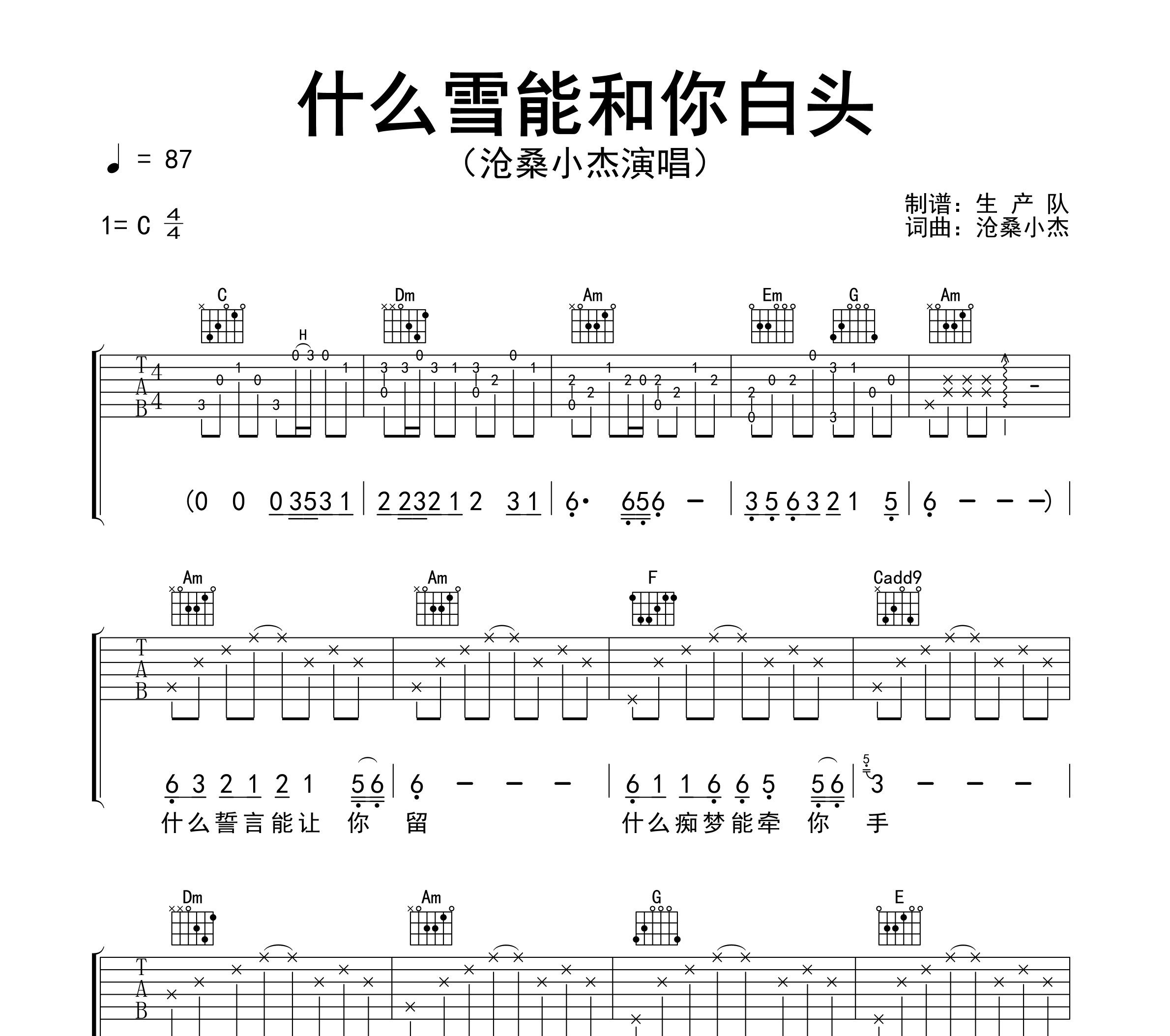 什么雪能和你白头吉他谱