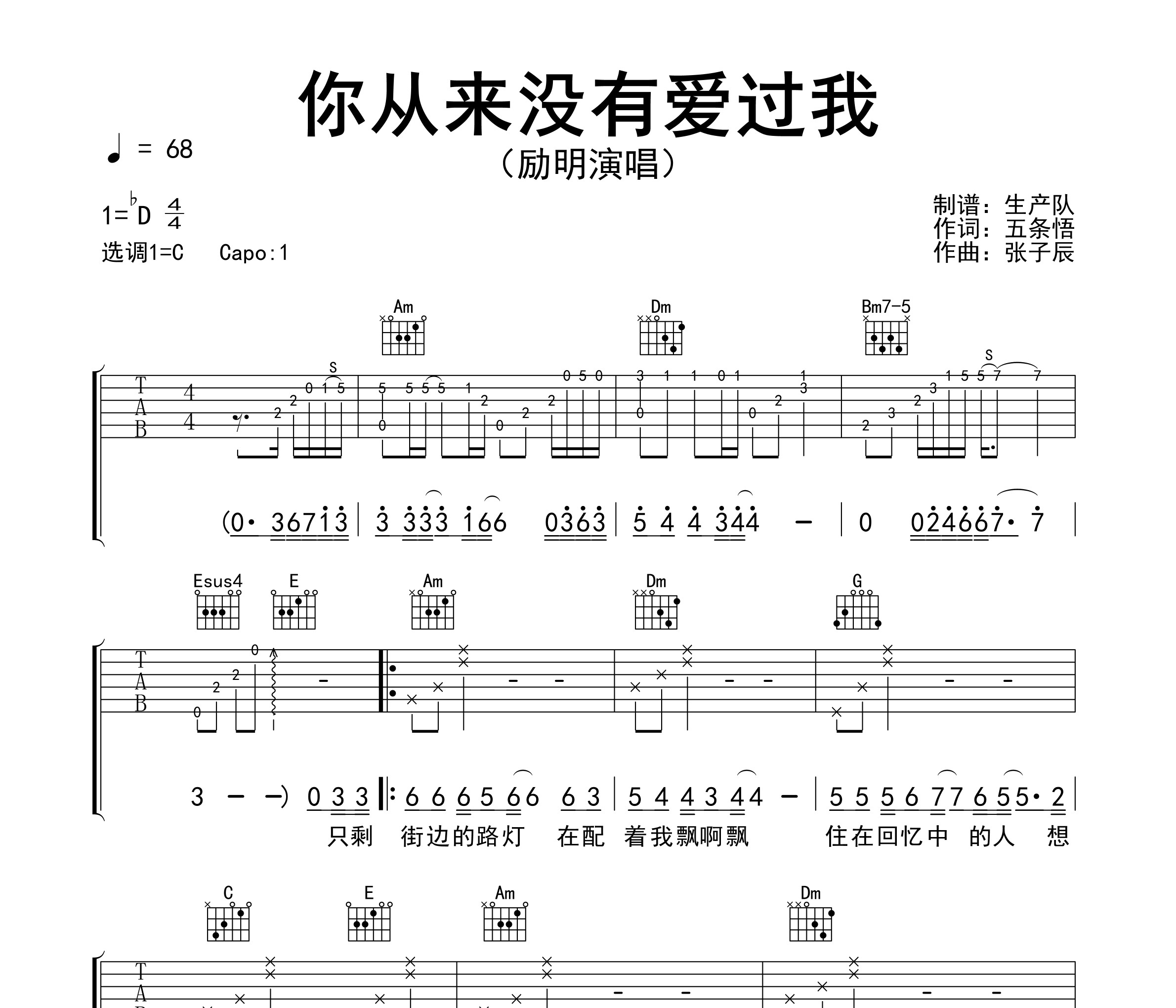 你从来没有爱过我吉他谱