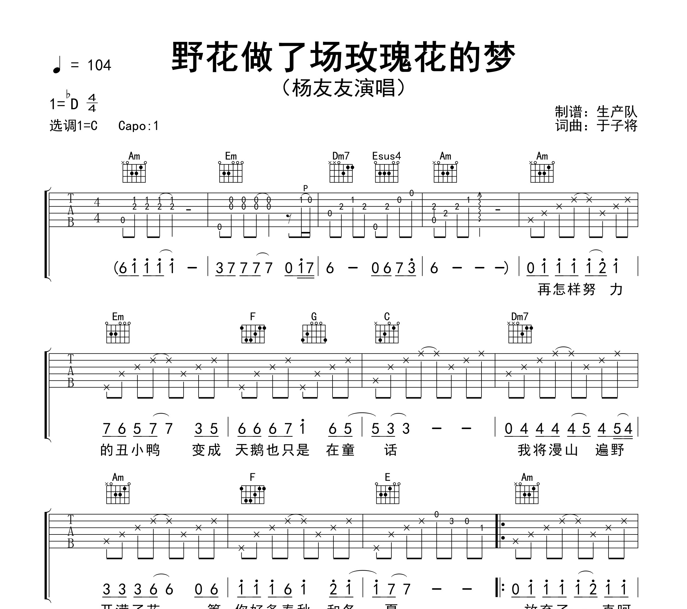 野花做了场玫瑰花的梦吉他谱