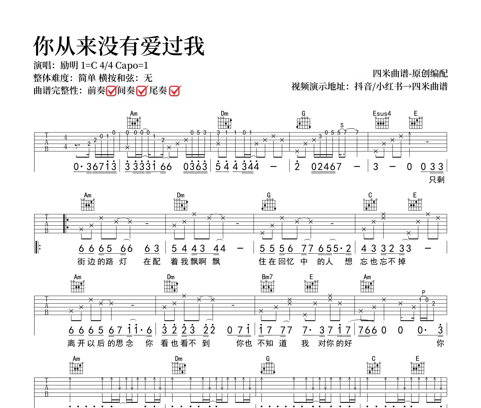 你从来没有爱过我吉他谱
