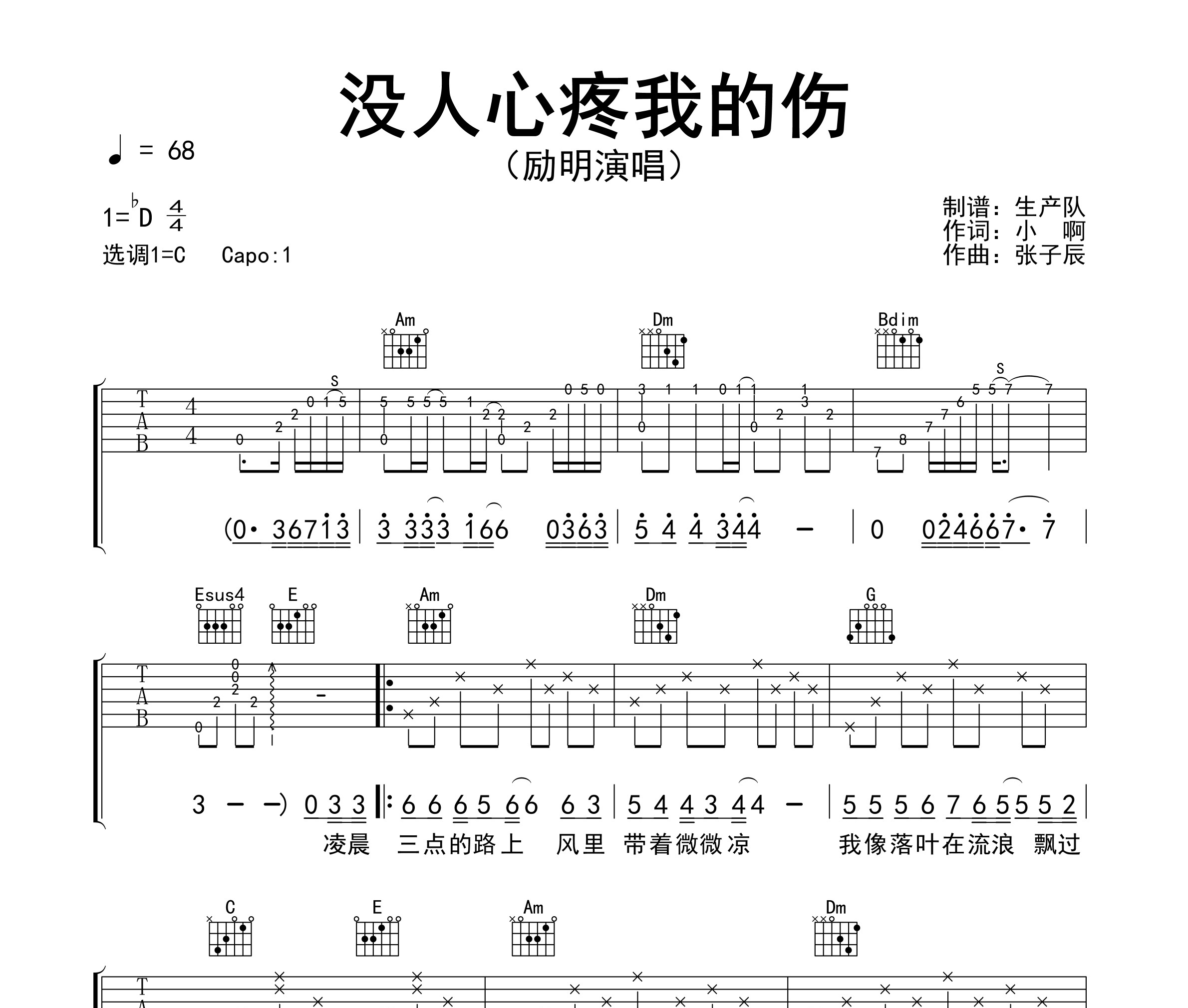 没人心疼我的伤吉他谱