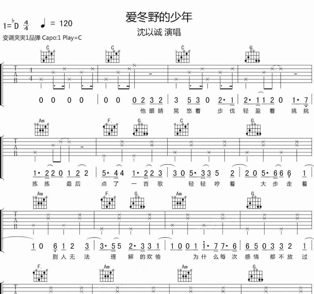 爱冬野的少年吉他谱