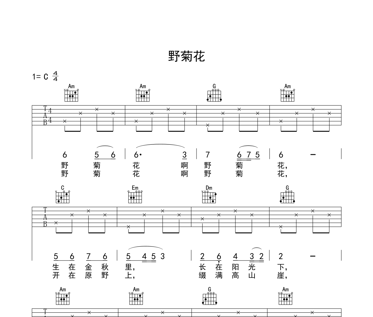 野菊花吉他谱